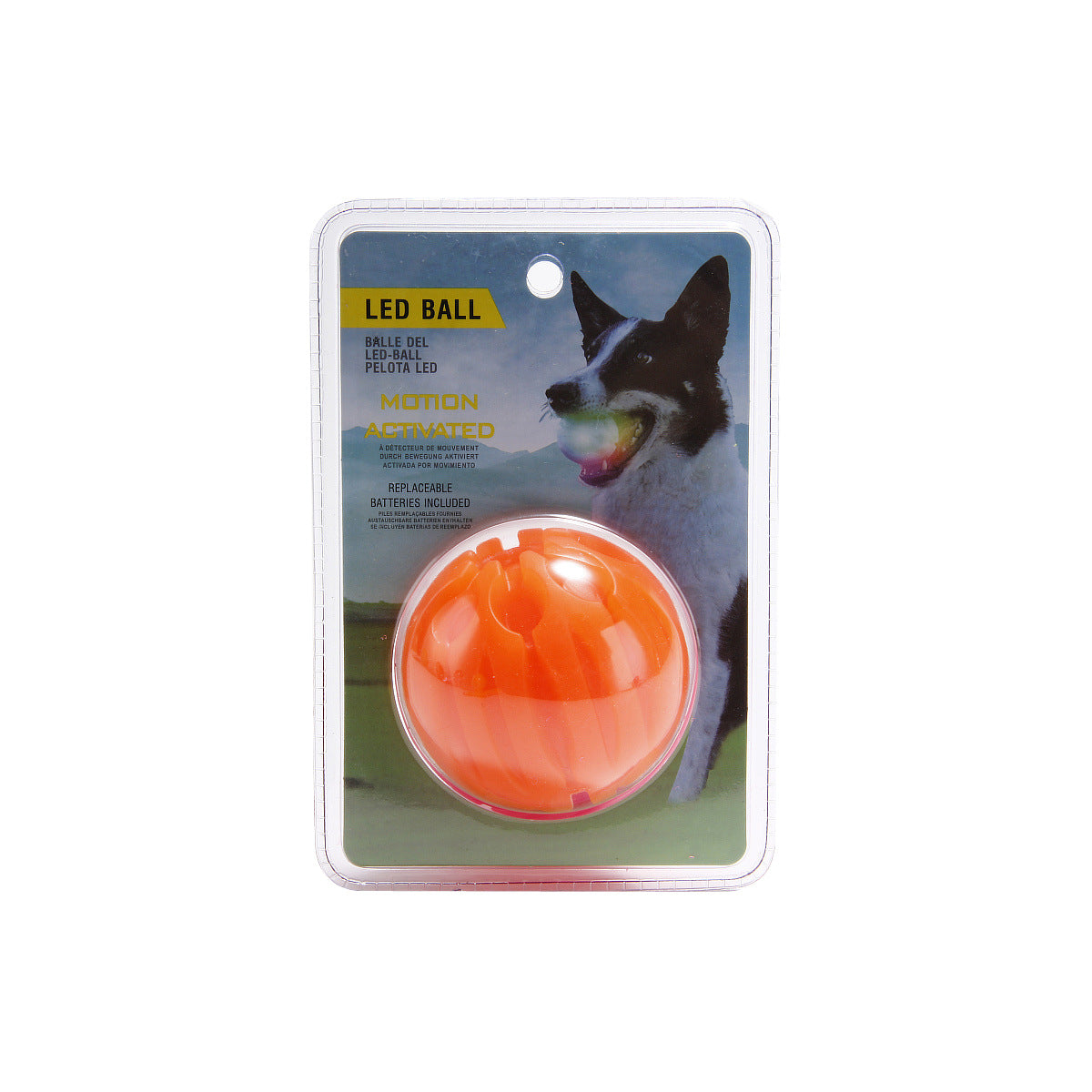 Unleash Fun and Adventure with the LED Light-Up Pet Ball Toy